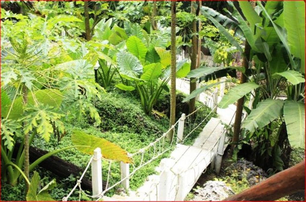 Rai Preda Homestay Ao Luk Екстериор снимка